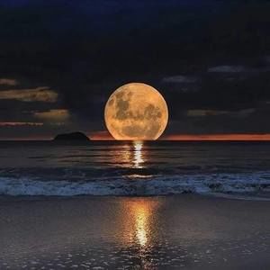 Meet your Posher, Annette